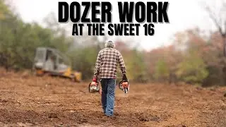 DOZER WORK at the SWEET16. TREE TRIBERS DOWN! New Road, Cutting Cedar for Building a DIY Tiny House.