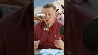 Абсурдный разговор о долгах!