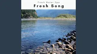 Clear Brook Tunes for Deep Nap