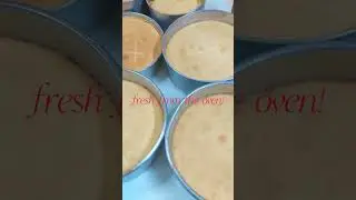 Perfectly baked! #softcake #free #beginners #recipe #tutorial #easycake #easycake#bake  #perfect