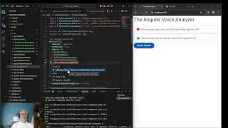 Angular - Web API Speech Analyzer: Video  15 discrete components