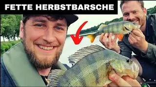 Kajak angeln am Fluss - Erfolgreich auf fette Barsche!