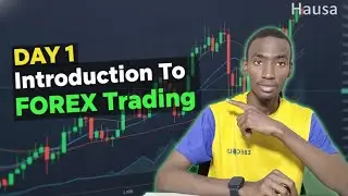Introduction to Forex Trading (Hausa) | Day 1 &mdash; Beginner Guide