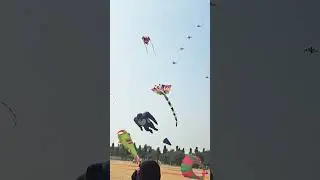 #kitesfestival #hyderabad #sankranthi #bhogi #festival #fun #joy #nature #happy #live #enjoy #video
