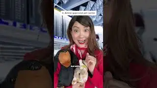 Flying with your PET made easy 🐶🐱#tutorial