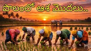 నాటు… మన భవిష్యత్తు విత్తనం|వరి నాటు… రైతు హృదయపు పండుగ