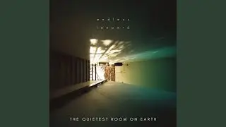 The Quietest Room on Earth