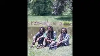 Israel Vibration Skelly Fan Art tribute * Acoustic style #repost #reggae #fanart #respect