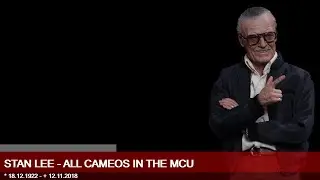 Stan Lee - Memories - All Cameos in the MCU | Movie & Series Chronist