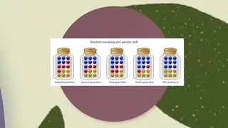 Genetic diversity, Mutation and Adaptation OCR, AQA, Edexcel, WJEC, Eduqas and CIE