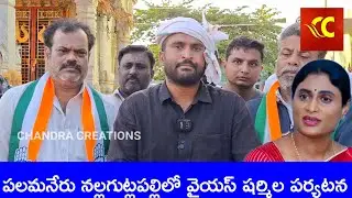పలమనేరులో ఫిబ్రవరి 6న వైయస్ షర్మిల రెడ్డి పర్యటన YS Sharmila's visit to Palamaneru on February 6th