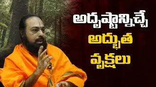 Amazing Lucky Trees | Life-Changing Tips By Sri Devi Das @SreeNiraviAstro