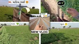 New Vlog || આપડા ખેતર માં Mr.ચાડિયા ભાઈ 🤩 || આપડે ઘઉં, ચણા, જીરું 💚 આવું છે.|| તરબૂચ 🍉 