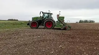 semis d'orge