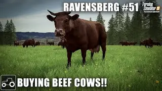 Building A Pasture & Buying Beef Cows - Ravensberg #51 Farming Simulator 19 Timelapse