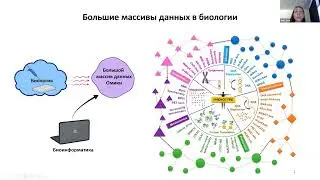 Анна Жук: Биоинформатика для биологов (День открытых дверей магистратуры, 29/04/2022)