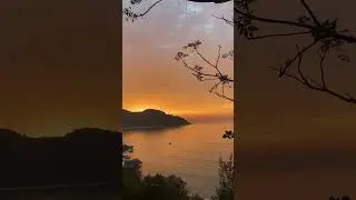 📍Son Tra Peninsula, Danang, Vietnam