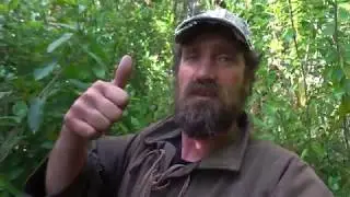 Hunting and biosecurity with the Kiwi Bushman