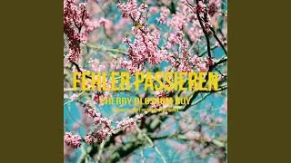 Fehler Passieren