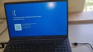 Windows 11 Bluescreen FIX IN 5 SECONDS 