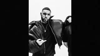 (FREE) Fler x Bass Sultan Hengzt x CCN Type Beat
