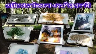 Chapalita Roadside Art And Craft Exhibition Book Store GDL Mexico  #bengalivlog
