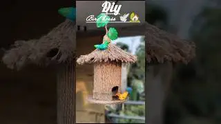 Diy bird house 🏡🕊️ #diy #craft #shorts #viral #art
