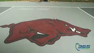 Arkansas Razorback Logo: Acrylic Combo Court