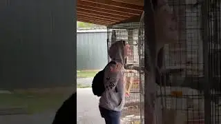 Woman Screams At Bird And It Screams Back And Other Says Hi