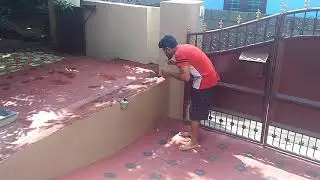 Crazy dog barking at cracker
