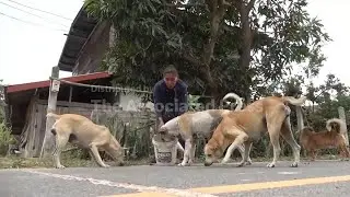 Thai villagers stay behind to feed animals and guard empty homes as border clashes force mass evacua