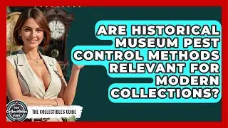 Are Historical Museum Pest Control Methods Relevant For Modern Collections? - The Collectibles Guide