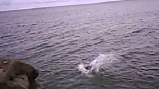 Football Catch into Water