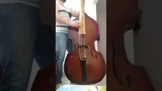 El caballero -  tololoche