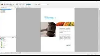 Part 1 - Trial Director Practical