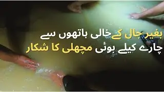 Catching Mullet Fish Boi with bare hands | Fishing in Karachi | Sunhera Fishing | Amazing fishing