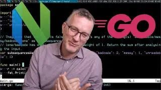 vim-go tweaks for exercising the Go programming language