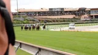 2010 Patinack Farm Crystal Mile