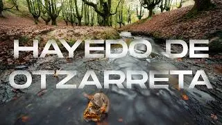 Fotografiando el Hayedo de otzarreta - Cinematic VLOG