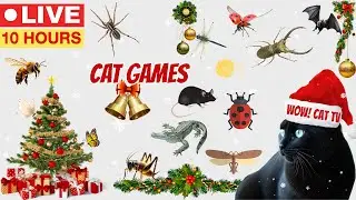 🔴 24/7 LIVE🐾😺 BEST CHRISTMAS CAT GAMES | INTERACTIVE BUG HUNT FOR CATS 🐞🎄