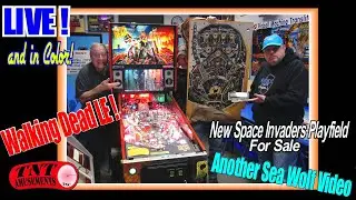 LIVE at 9pm Friday-The Day After New Years Day at TNT Amusements