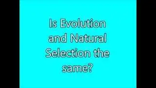 Three Misconceptions on Evolution