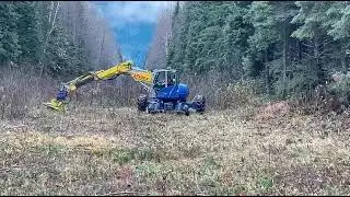 vegetationvideo01