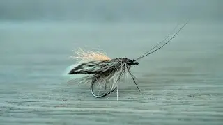 Sedge Fly tying - SIM Suisse & Club pescatori a mosca Ticino / with Cristian Ottonetti