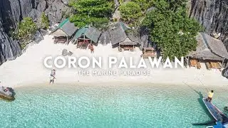 Coron Episode 6: Marine Sanctuary, Coral Garden and Smith Beach | Coron, Palawan
