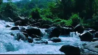 River in Canyon Forest&mdash;Focus Boost Echoing canyon walls amplify water white noise