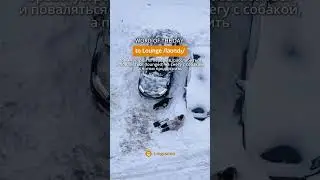 Время устроить перерыв, поваляться (lounged) на снегу с собакой, а  потом продолжить | Lingualeo