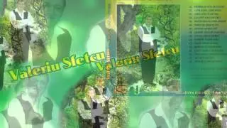 Valeriu Sfetcu-Murgule cu coama rara (Official Audio) NOU