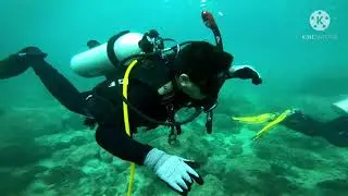 Scuba Diving in Muscat, Oman ( Rawdah Reef Dive Site)