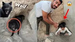 Black wolf Ne Khatarnak Hamla Kar Diya Bacchon Per 😱